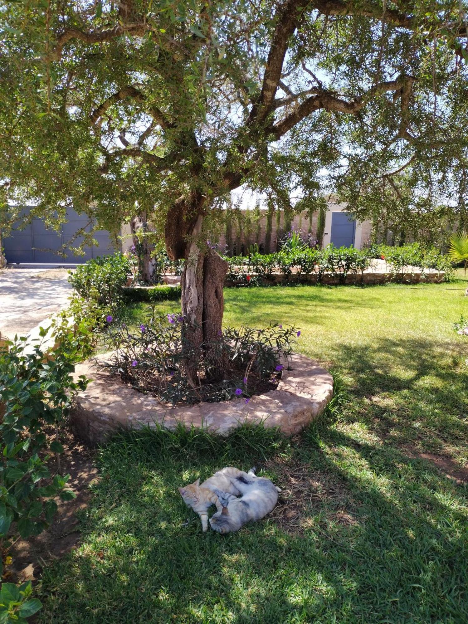 Villa Iyad 索维拉 外观 照片